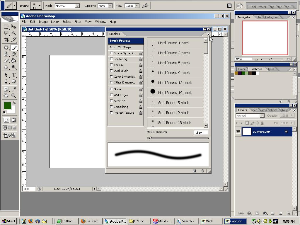Click on the Small Triangle in the Upper Right of the Brushes Tab